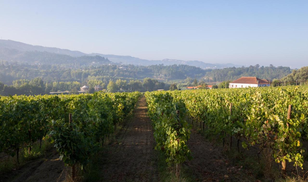 Casa Lata - Agroturismo E Enoturismo 아마레스 외부 사진